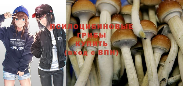 МДПВ Белокуриха