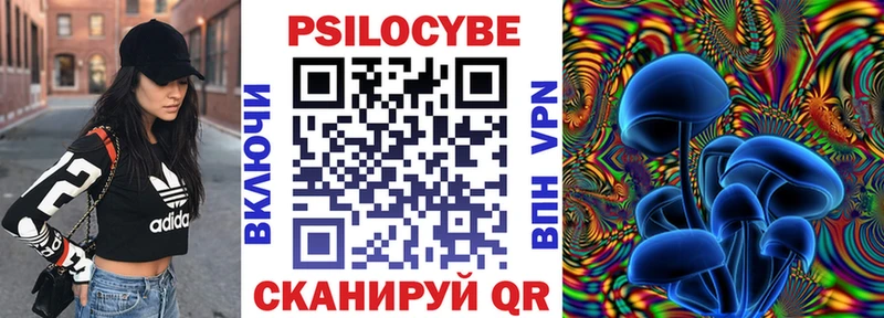 Псилоцибиновые грибы MAGIC MUSHROOMS  наркотики  Бежецк 