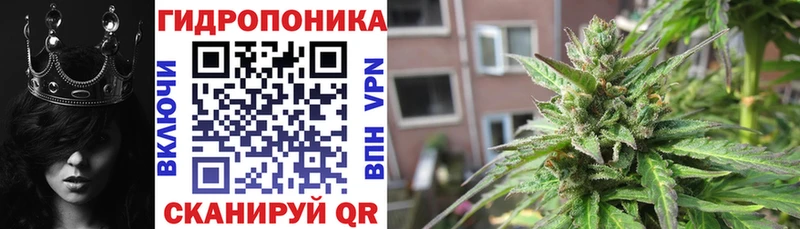 магазин    Бежецк  Бошки марихуана тримм 